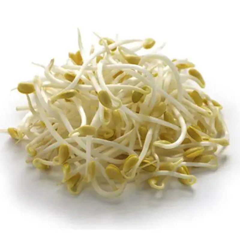 IQF Soybean Sprouts